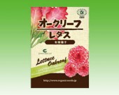 オークリーフレタス